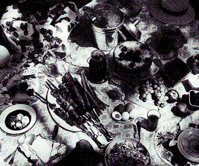 The Russian Picnic Tradition a Family Smuggled Out of the USSR image