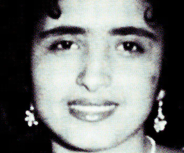 Maheen's Persian Herbed Omelette image